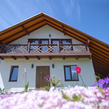 Еміліана Villa Volosyanka  Dış mekan fotoğraf